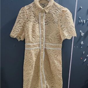 Elegant Lace Button-Down Dress